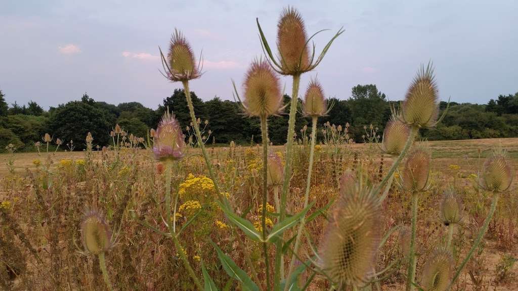 Rushy Mead Nature Reserve | Bishops Stortford CM22 7QJ, UK