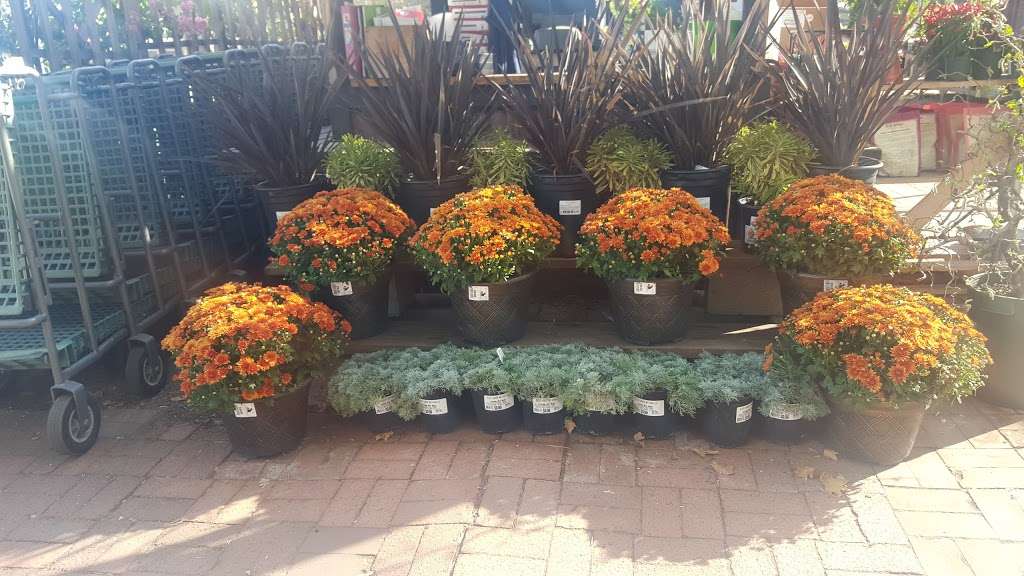 Sloat Garden Center | 828 Diablo Rd, Danville, CA 94526 | Phone: (925) 743-0288