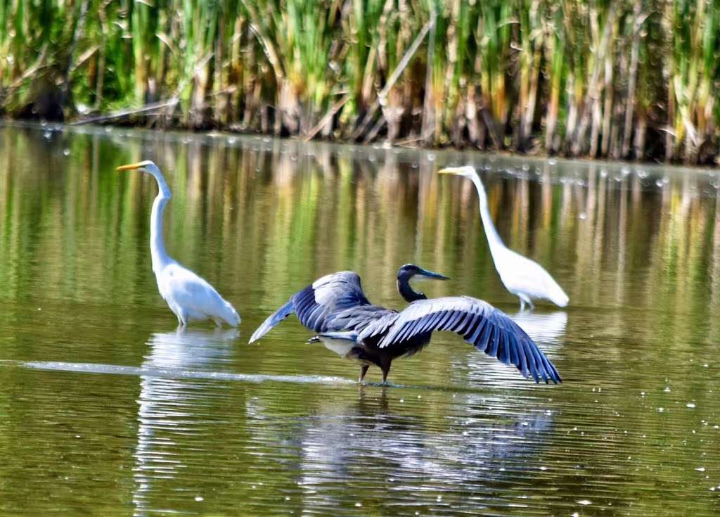 Scott Starling Nature Sanctuary | Indianapolis, IN 46278 | Phone: (317) 327-7110