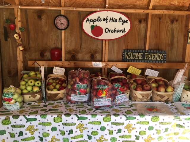 Apple of His Eye Orchard | 3185 S 300 E, Anderson, IN 46017 | Phone: (765) 378-6265