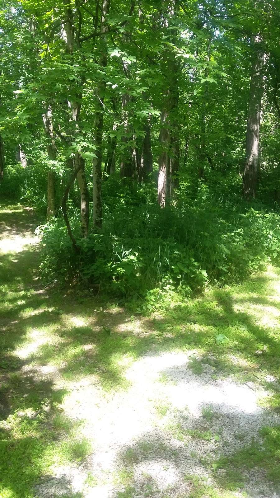 Twin Bridges Loop Trail | East CR-200 South, Danville, IN 46122, USA