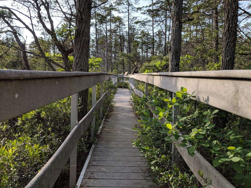 Nature Trail/Boardwalk | Forked River, NJ 08731, USA