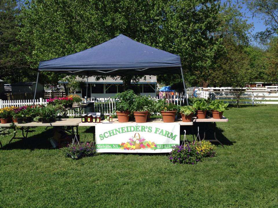 Schneiders Farm | 316 Old Country Rd, Melville, NY 11747, USA | Phone: (631) 673-5844