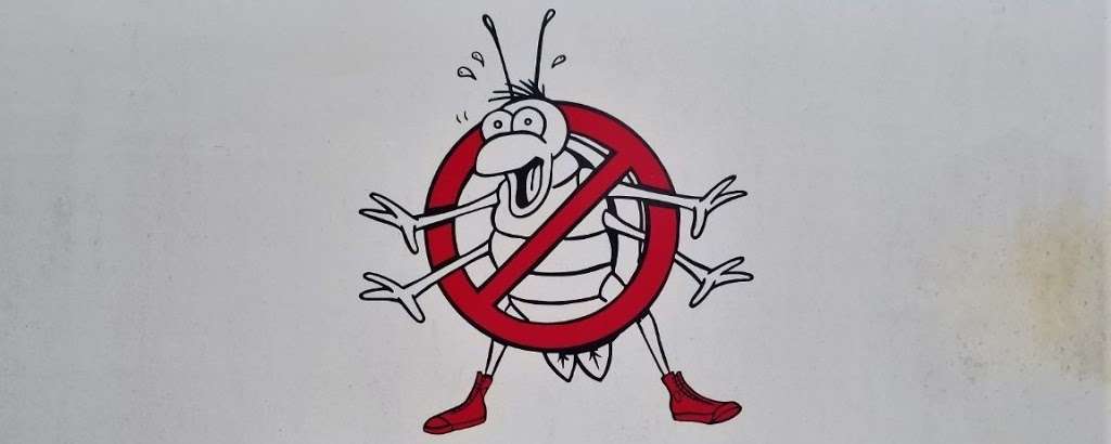 Bug Busters Termite & Pest | 1010 S A St, Santa Rosa, CA 95404, USA | Phone: (707) 542-9497