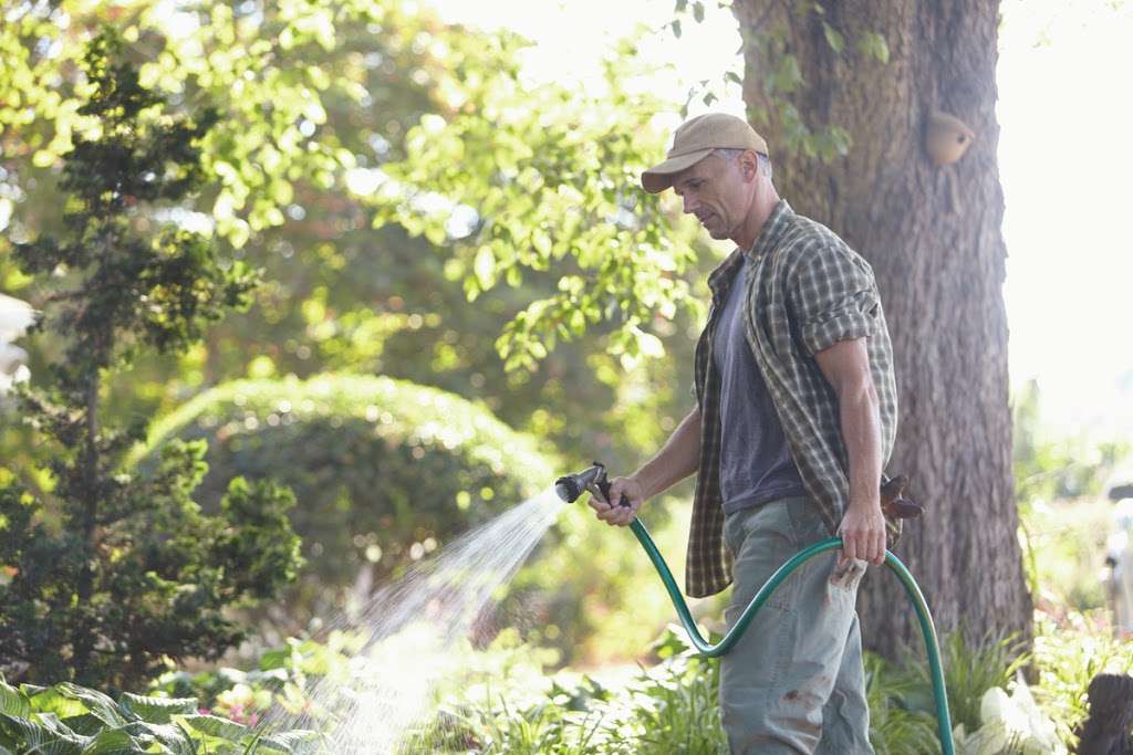 Garden Center at The Home Depot | 2000 8th St NW, Winter Haven, FL 33881, USA | Phone: (863) 293-6574