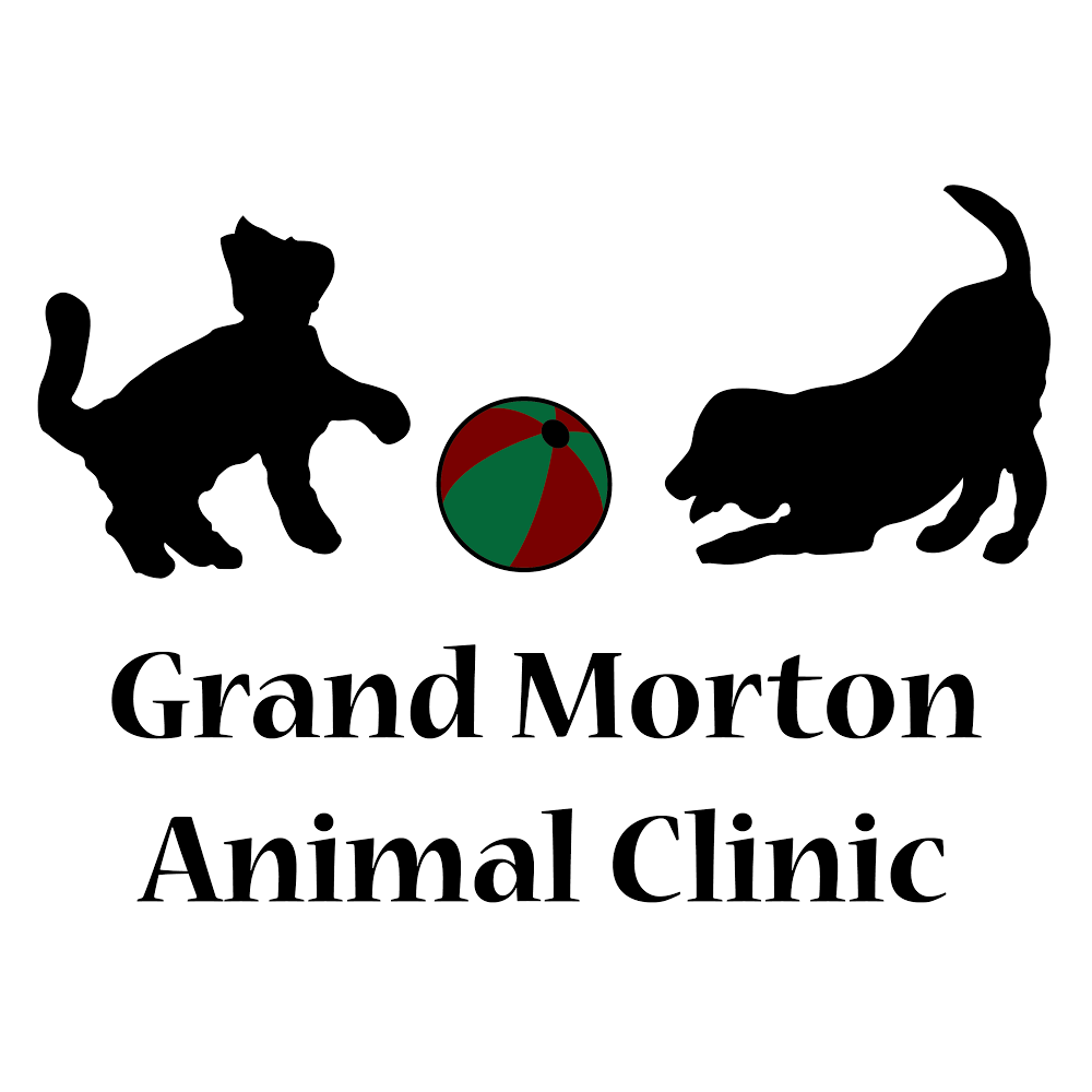 Grand Morton Animal Clinic | 22720 Morton Ranch Rd #200, Katy, TX 77449, USA | Phone: (281) 398-1551