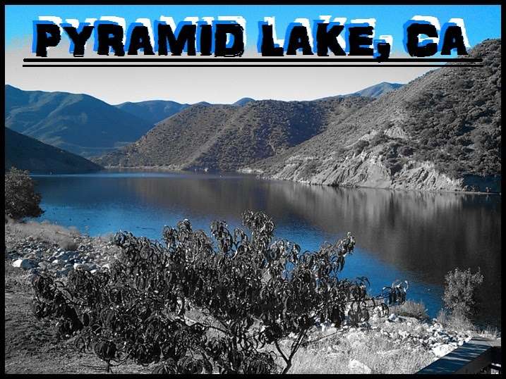 Pyramid Lake Los Alamos Campgrounds | Hard Luck Rd, Lebec, CA 93243, USA | Phone: (661) 248-6725