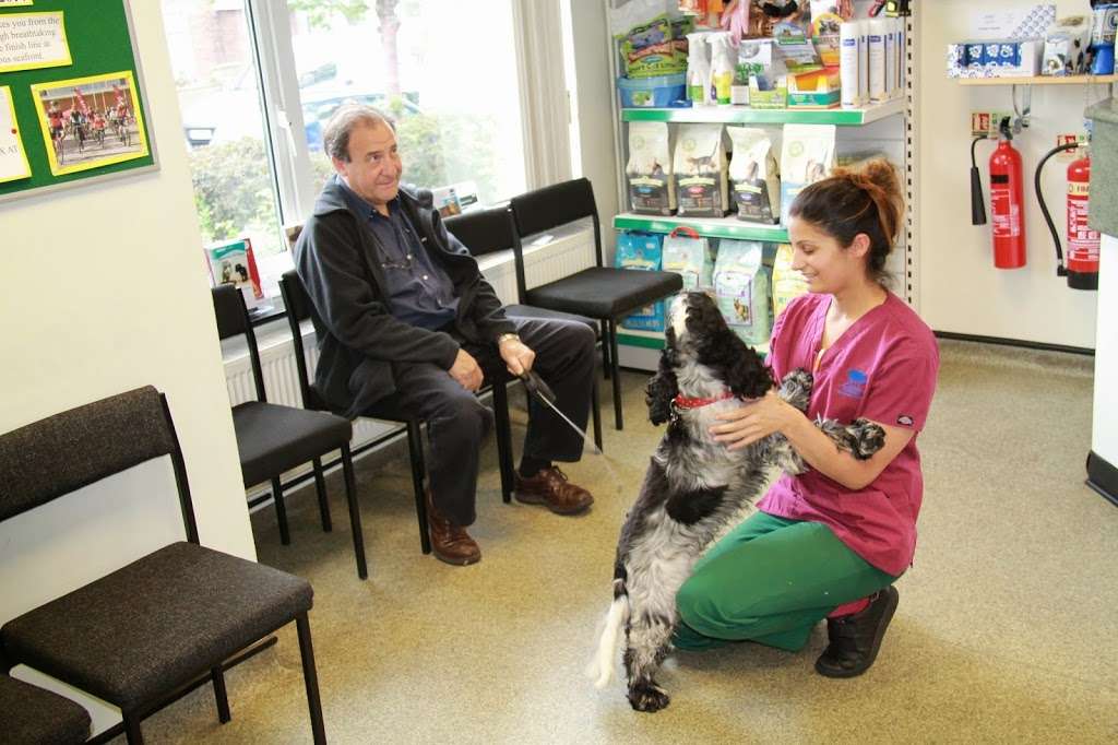 Forest Veterinary Centre | 32 Waltham Rd, Woodford, Woodford Green IG8 8EB, UK | Phone: 020 8505 4078