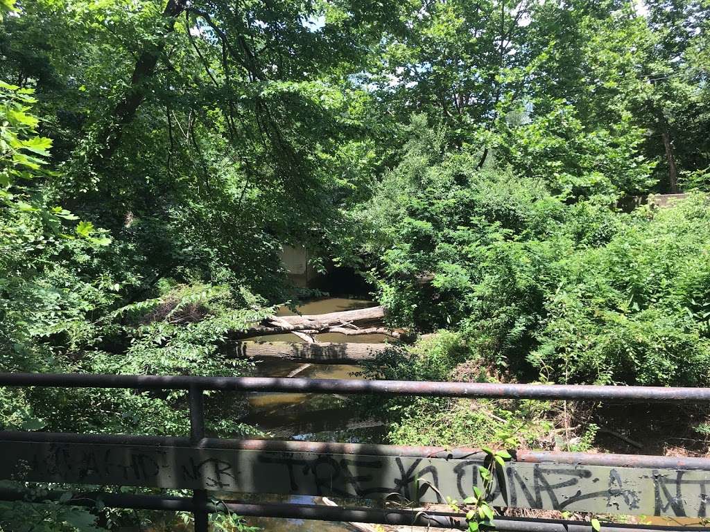 Old Vale Road Bridge | Gerry Connolly Cross County Trail, Oakton, VA 22124, USA