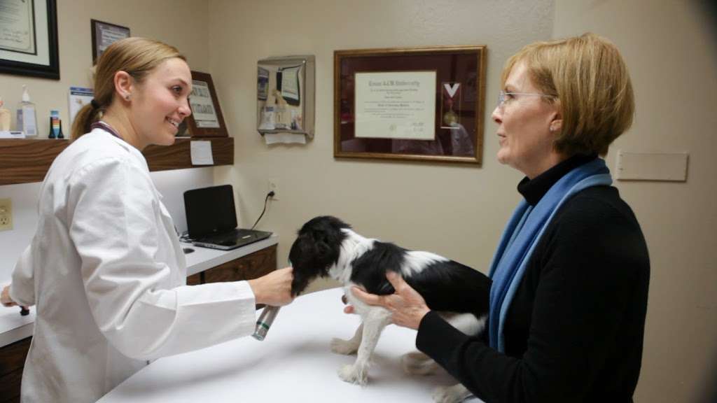 Village Veterinary Clinic | 8785 Gaylord Dr, Houston, TX 77024, USA | Phone: (713) 468-7955