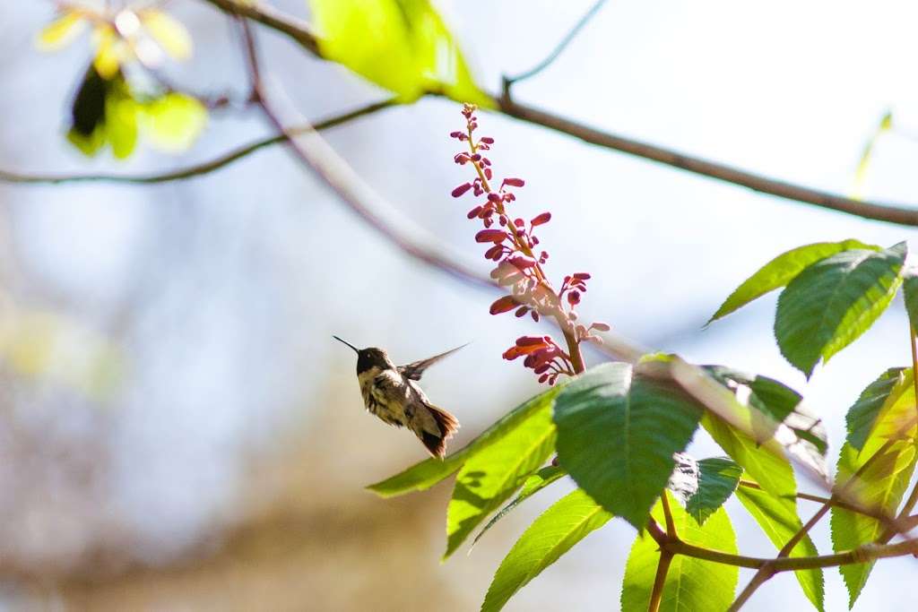 Texas Parks & Wildlife Department | 346 Oaks Trail #100, Garland, TX 75043, USA | Phone: (972) 226-9966