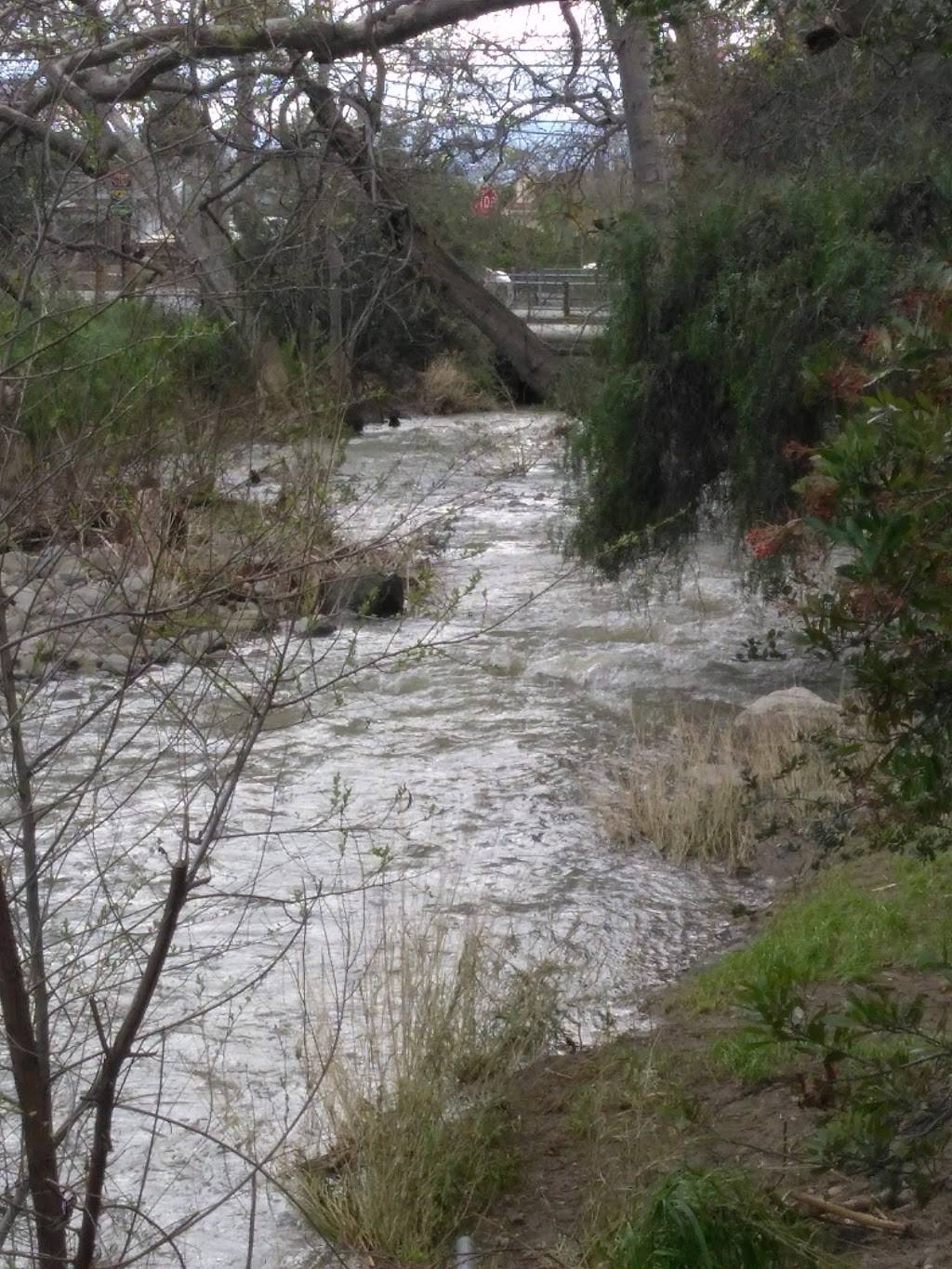 Dr. Robert Gross Groundwater Recharge Pond | San Jose, CA 95132, USA | Phone: (408) 265-2600