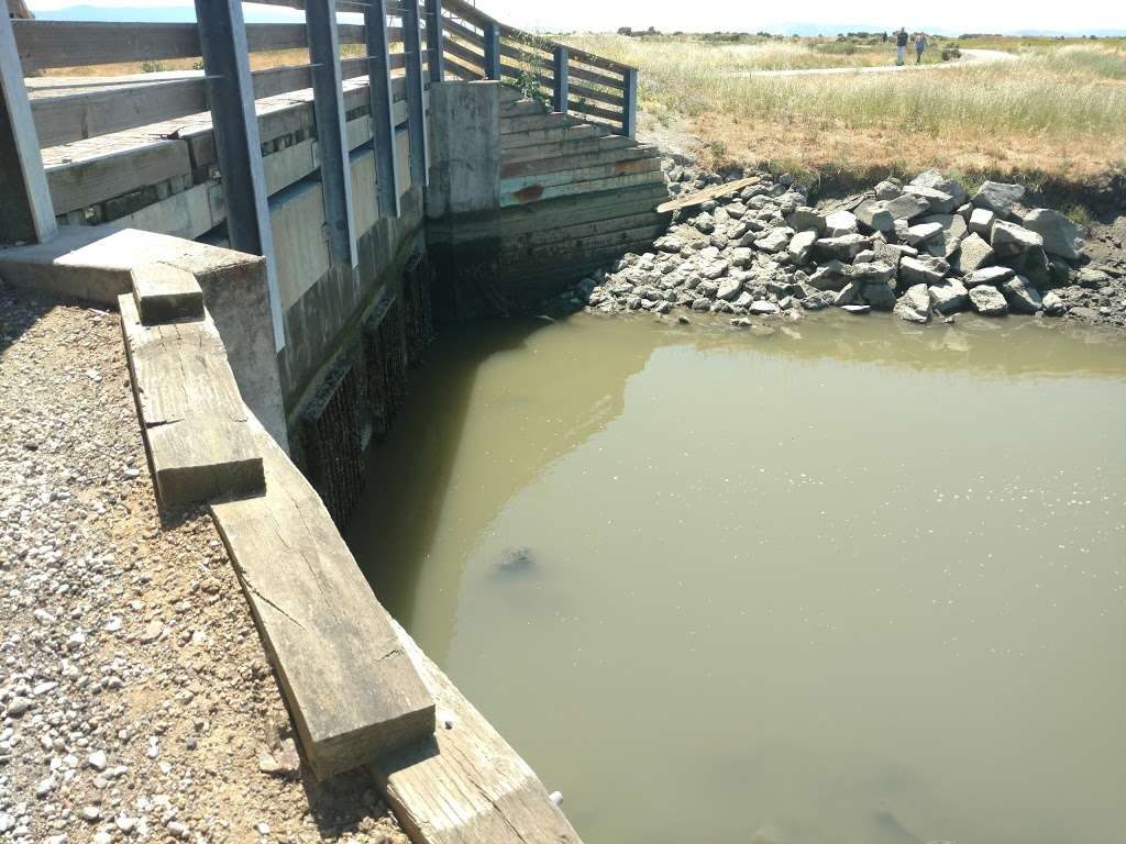 BayTrail - Heron Bay Access Point | 13836-, 14010 Neptune Dr, San Leandro, CA 94579, USA
