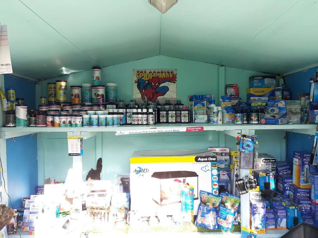 Pond Life Aquatics | Finchley Nurseries,Burtonhole Lane, London NW7 1AS, UK | Phone: 020 8906 9916
