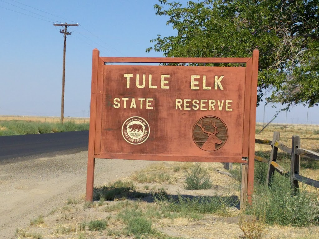 Tule Elk Reserve State Natural Reserve | 8653 Station Rd, Buttonwillow, CA 93206, USA | Phone: (661) 764-6881