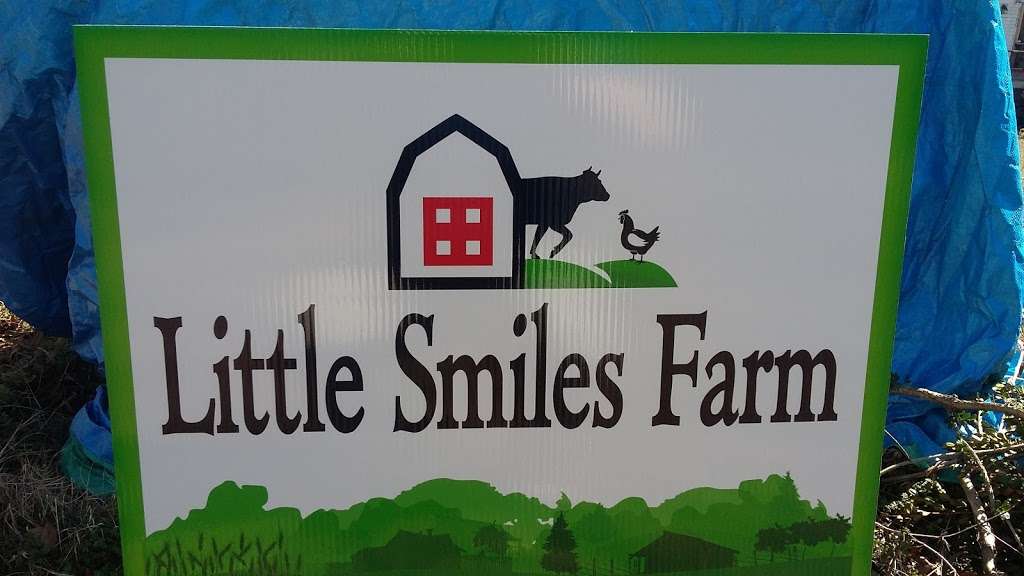 Little Smiles Farm | 6760 Nathan Ave, Kannapolis, NC 28081, USA | Phone: (704) 939-6883