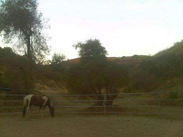 Cherokee Ranch Horse Barn | 9959 Rancho Caballo Dr, Sunland-Tujunga, CA 91040 | Phone: (818) 353-4825