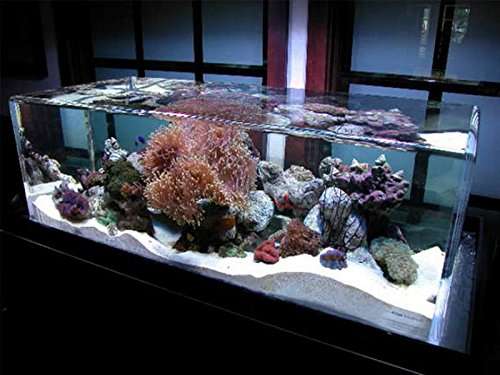 AquaPro Aquariums | 4746 Chisholm Hollow Ct, Fresno, TX 77545 | Phone: (281) 845-4270