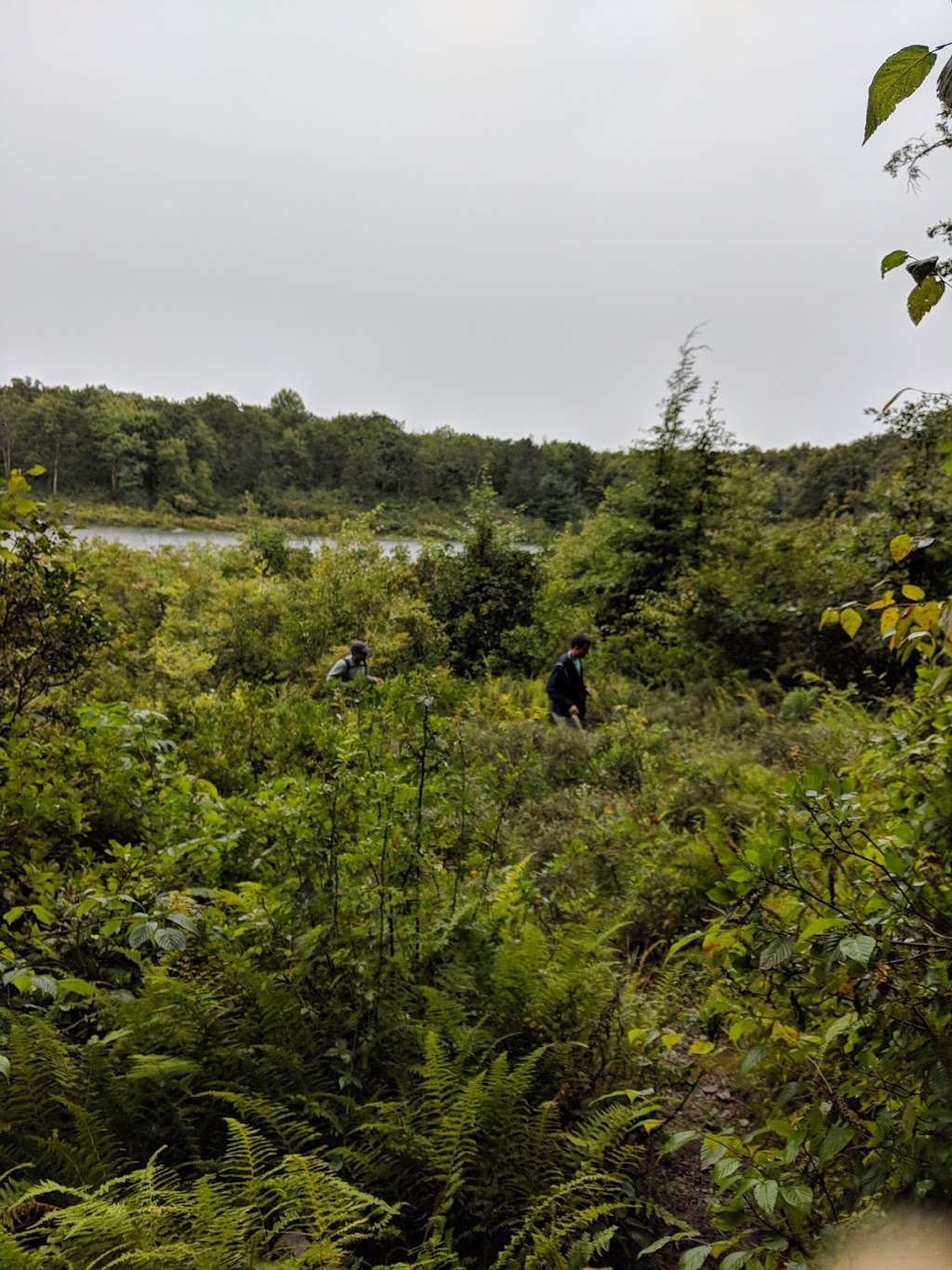 Appalachian Trail | Unnamed Road, Layton, NJ 07851