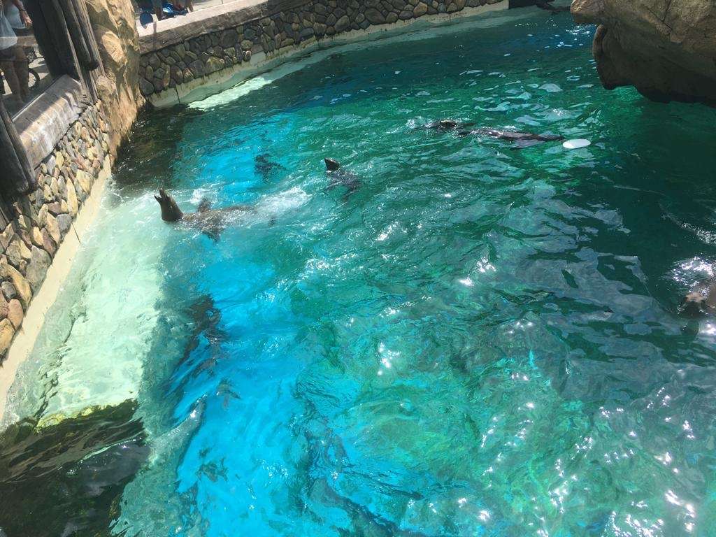 Sea World | San Antonio, TX 78251, USA