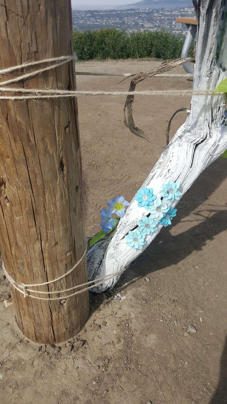 A Way To Travel | 3010 Eminencia Del Sur, San Clemente, CA 92673, USA | Phone: (949) 388-3362