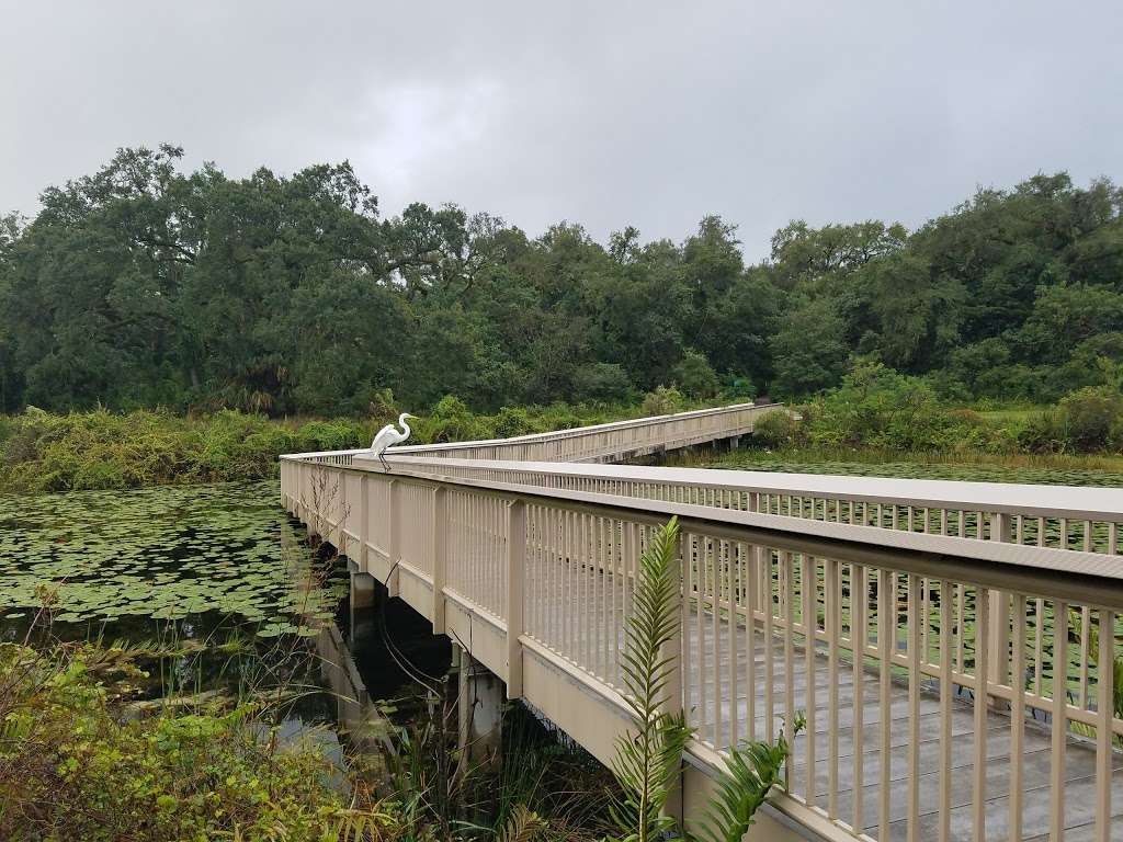 Long Key Natural Area & Nature Center | 3501 SW 130th Ave, Davie, FL 33330, USA | Phone: (954) 357-8797