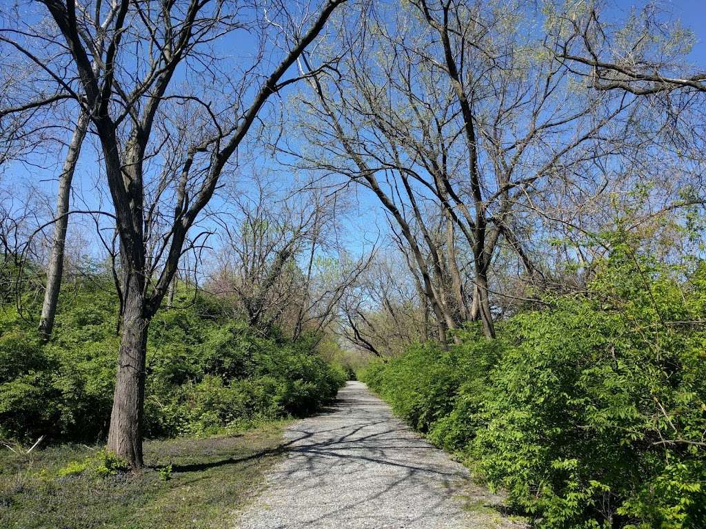 Kingman Island Trail | Kingman Island Trail, Washington, DC 20002, USA