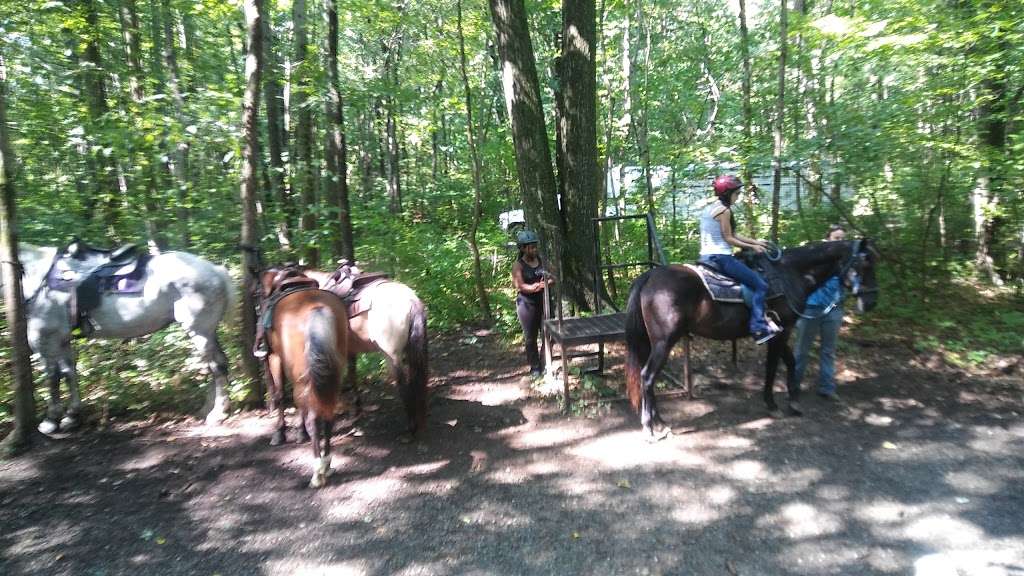 Jacobsburg State Park Horse Access Area | Belfast Rd, Nazareth, PA 18064 | Phone: (888) 727-2757