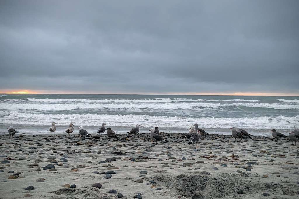 Torrey Pines State Beach | 12600 N Torrey Pines Rd, La Jolla, CA 92037, USA | Phone: (858) 755-2063