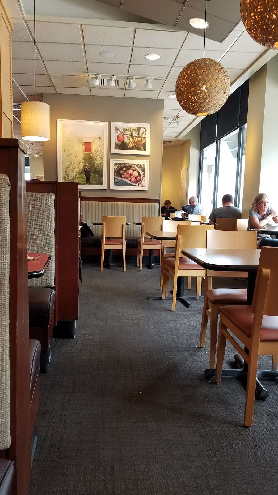 Panera Bread | 1600 16th St, Oak Brook, IL 60523, USA | Phone: (630) 928-7707