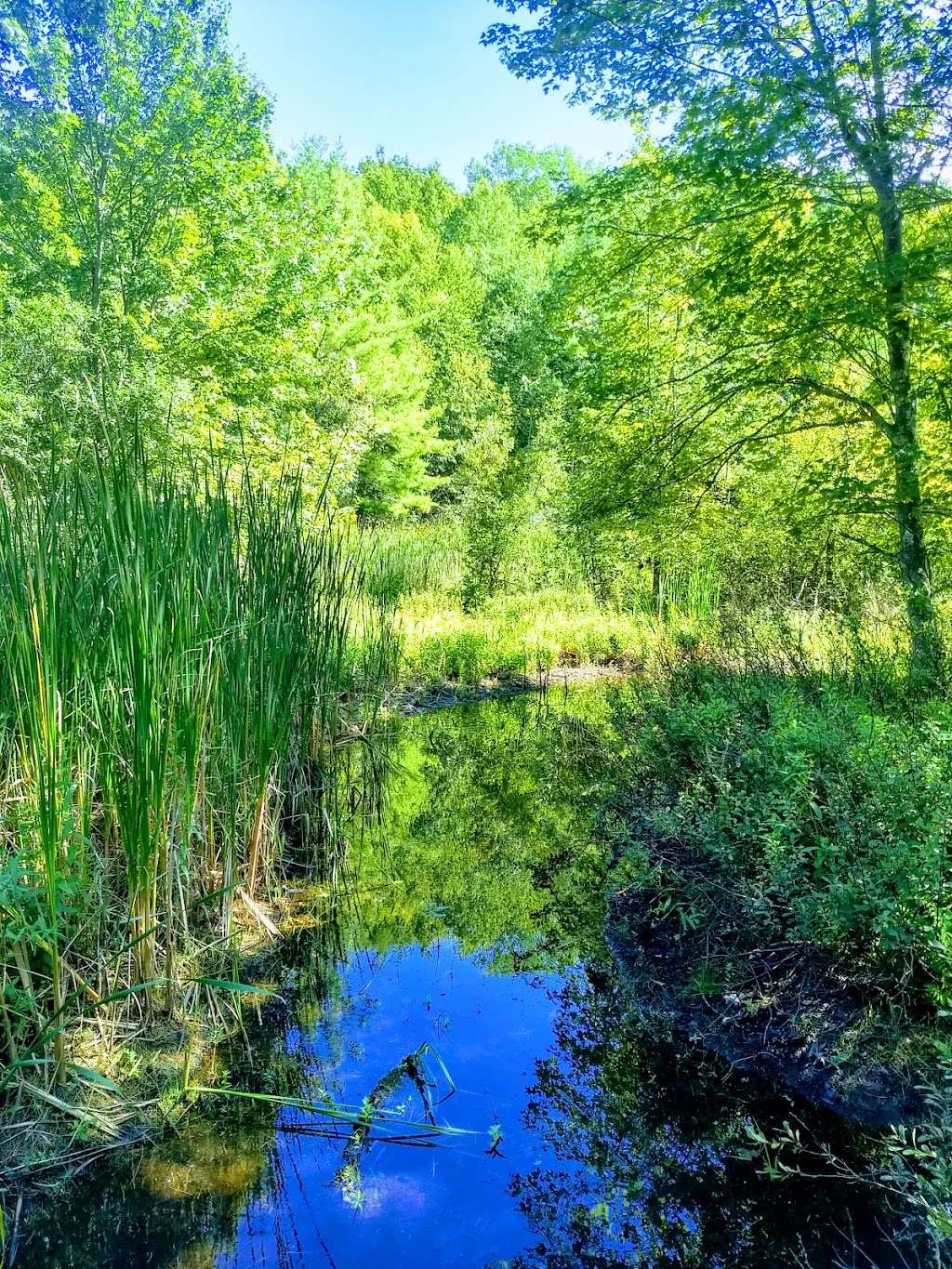 Crystal Gorge Conservation Area | 537-801 Crystal St, Haverhill, MA 01832, USA