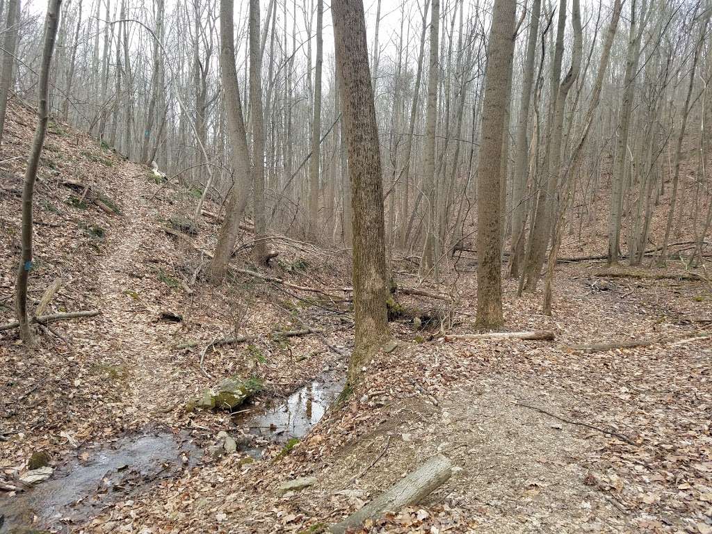 Apollo County Park, Brogue, PA in 4925 Boyd Rd, Brogue, PA 17309, USA