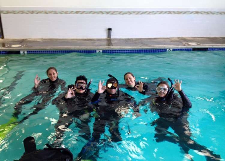 Beach Cities Scuba Aquatic Center | 4537 West Coast Hwy, Newport Beach, CA 92663 | Phone: (949) 650-5440