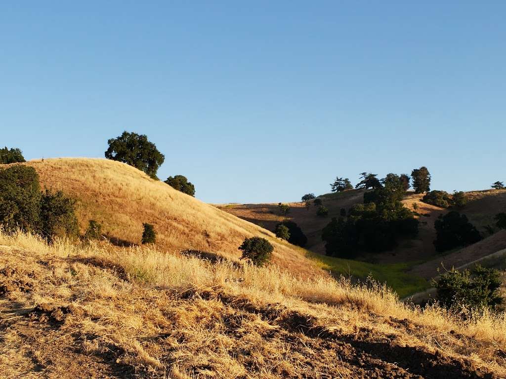 Sugarloaf Open Space | 2161 Youngs Valley Rd, Walnut Creek, CA 94596, USA | Phone: (925) 943-5800