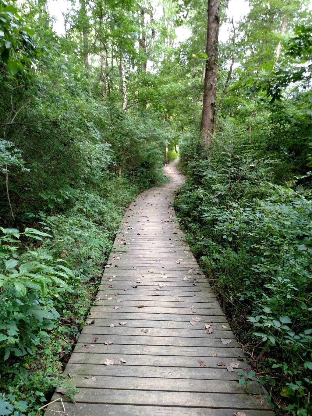 Morningside Nature Preserve | 2020 Lenox Rd NE, Atlanta, GA 30324, USA | Phone: (404) 546-6788