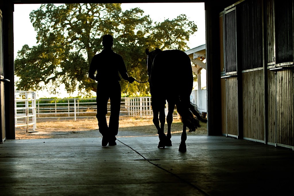 Performance Equine Nutrition | 985 Eastman Ln, Petaluma, CA 94952, USA | Phone: (707) 766-8624