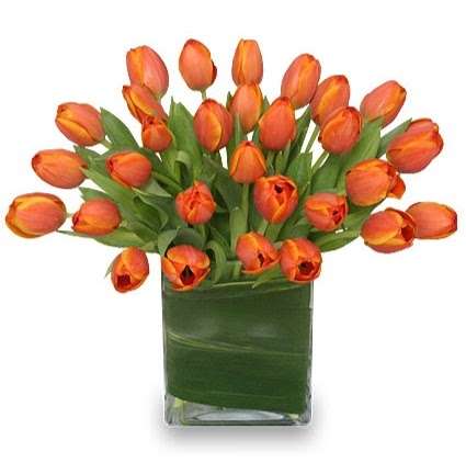 North Warren Floral | 155 NJ-94 Unit Z, Blairstown, NJ 07825, USA | Phone: (908) 362-5611