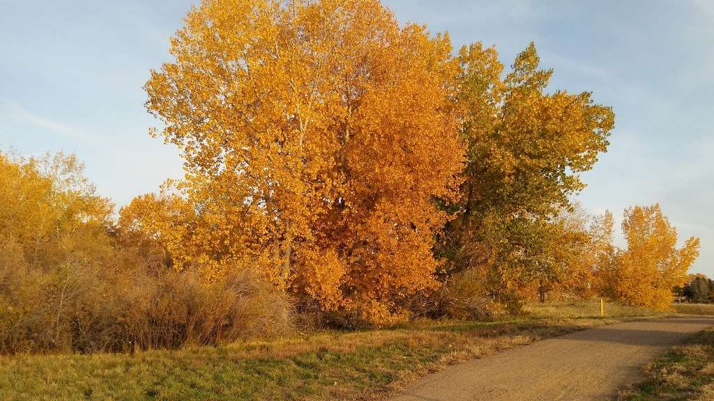 Cook Creek Park | 8711 Lone Tree Pkwy, Lone Tree, CO 80124 | Phone: (303) 798-5131