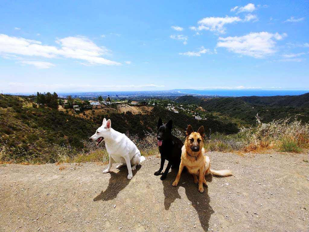 Westridge Trailhead | W Mandeville Fire Rd, Los Angeles, CA 90049, USA