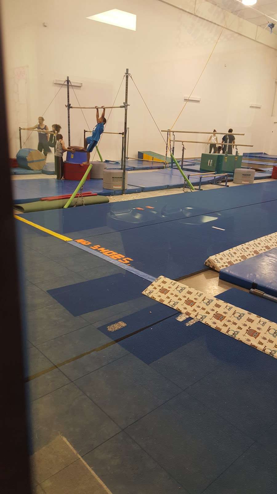 Love Gymnastics | 17111 OConnor Rd, San Antonio, TX 78247, USA | Phone: (210) 656-9988