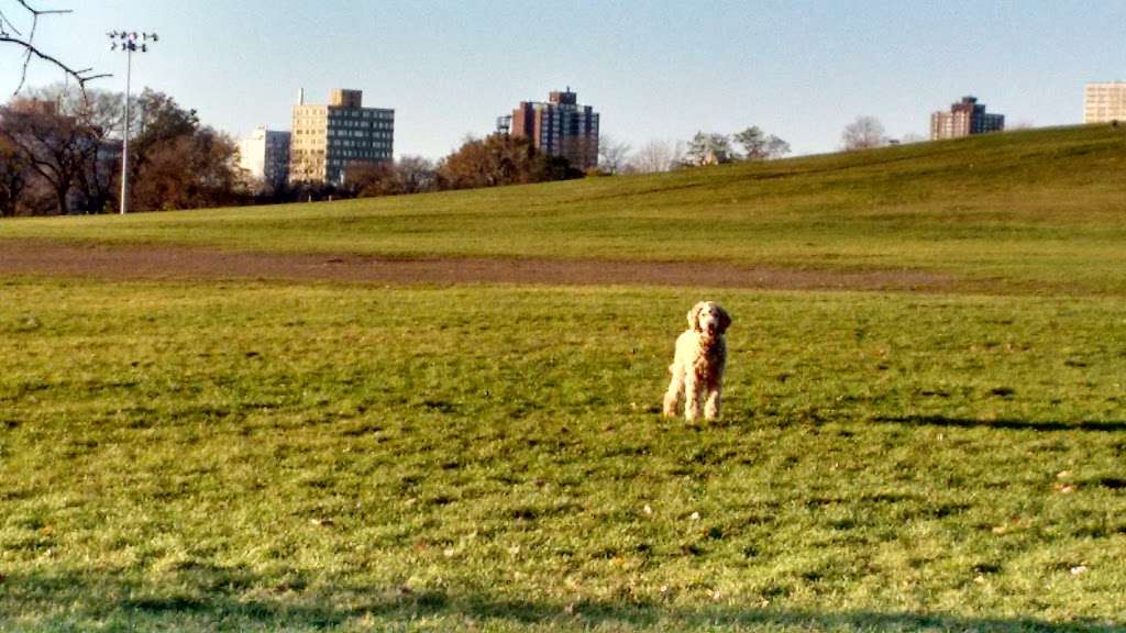 Cricket Hill | Lakefront Trail, Chicago, IL 60640, USA | Phone: (312) 742-7726