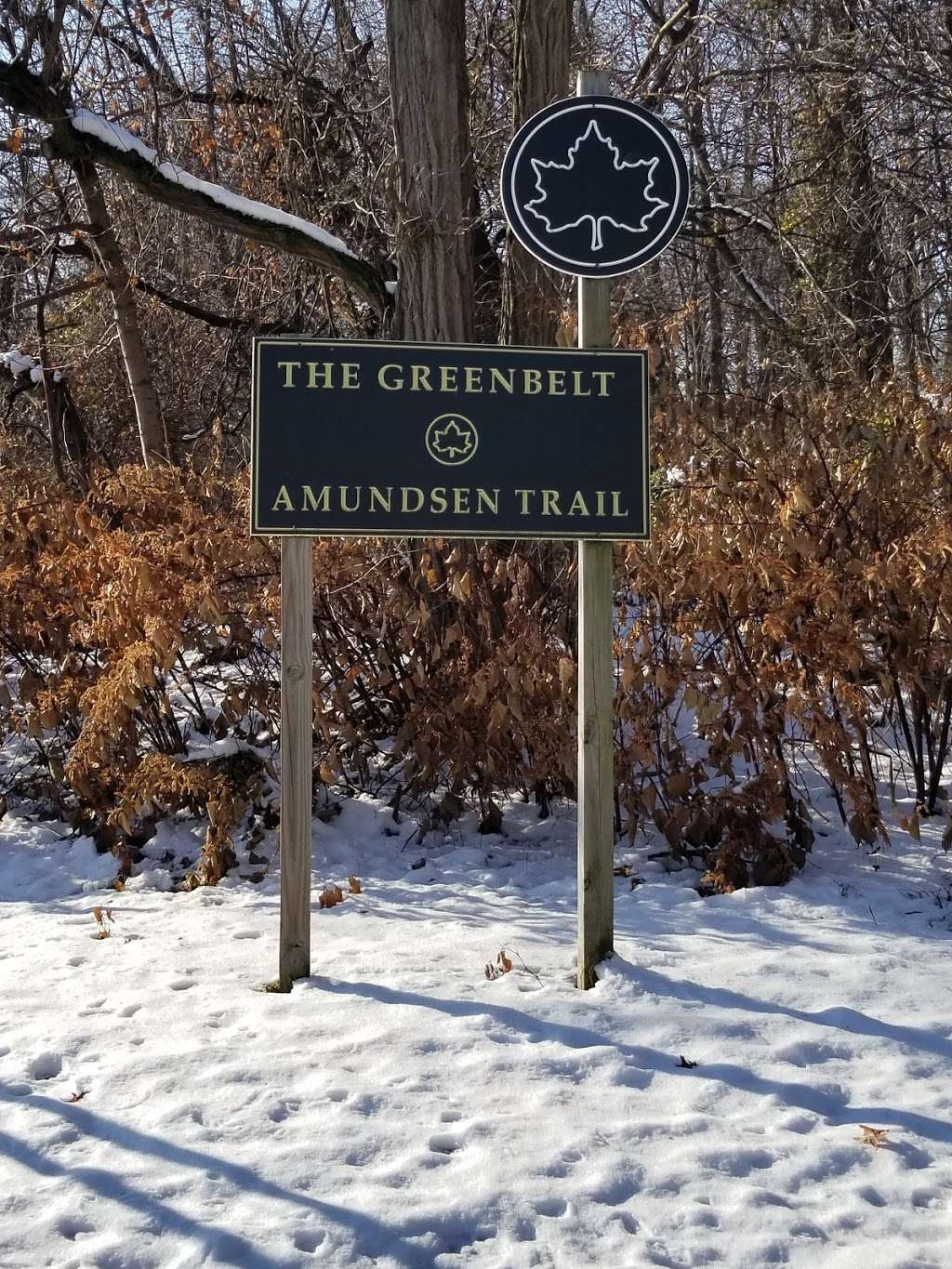 Amundsen Trail | Riedel Ave, Staten Island, NY 10306, USA