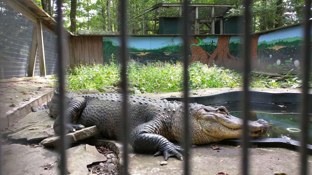 Claws N Paws Wild Animal Park | 1475 Ledgedale Rd, Lake Ariel, PA 18436, USA | Phone: (570) 698-6154