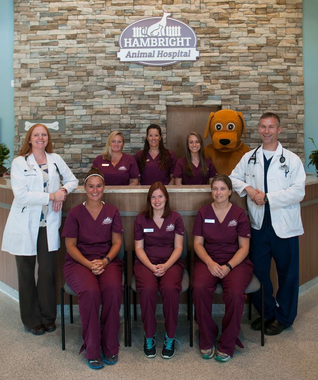 Hambright Animal Hospital | 11725 Hambright Rd, Huntersville, NC 28078, USA | Phone: (704) 912-5333