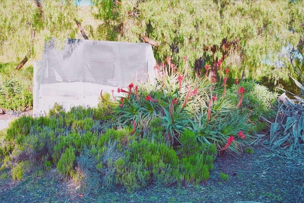 CSUCI Student Garden | Ventura County, CA 93012