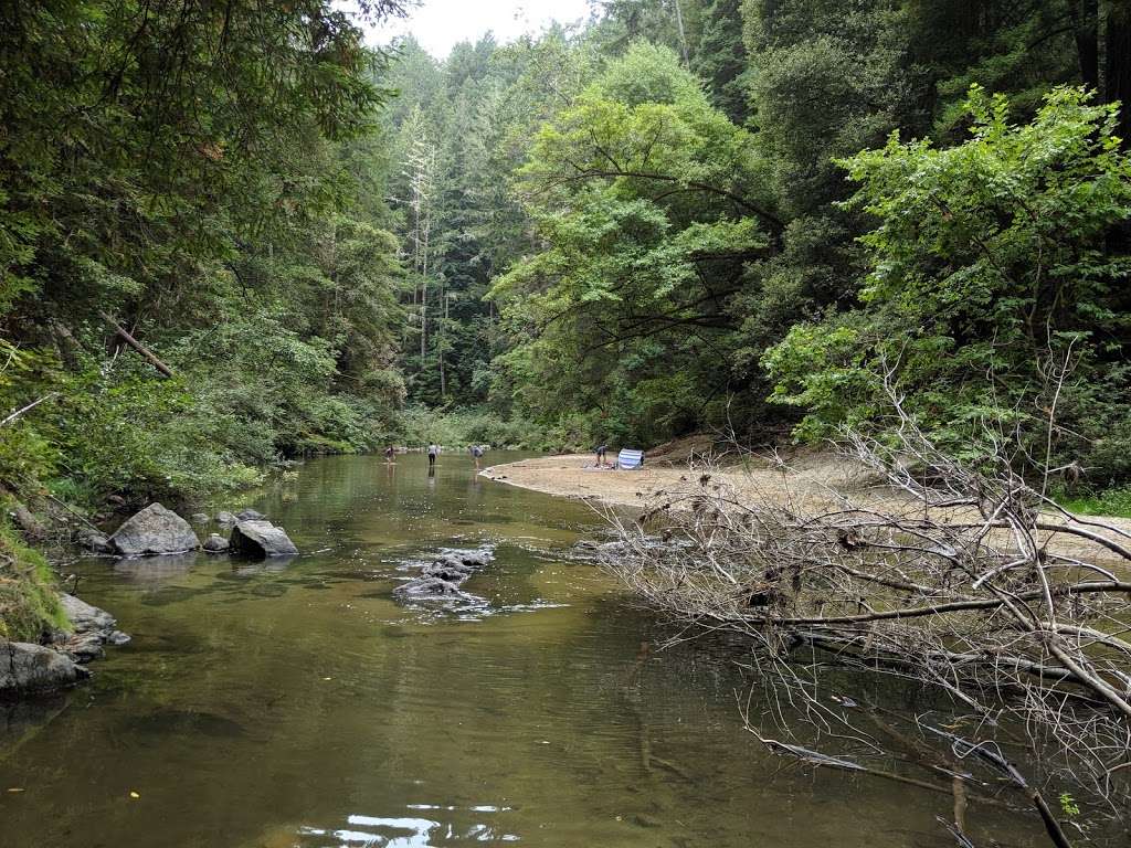 Henry Cowell Redwoods State Park | 101 N Big Trees Park Rd, Felton, CA 95018 | Phone: (831) 335-4598