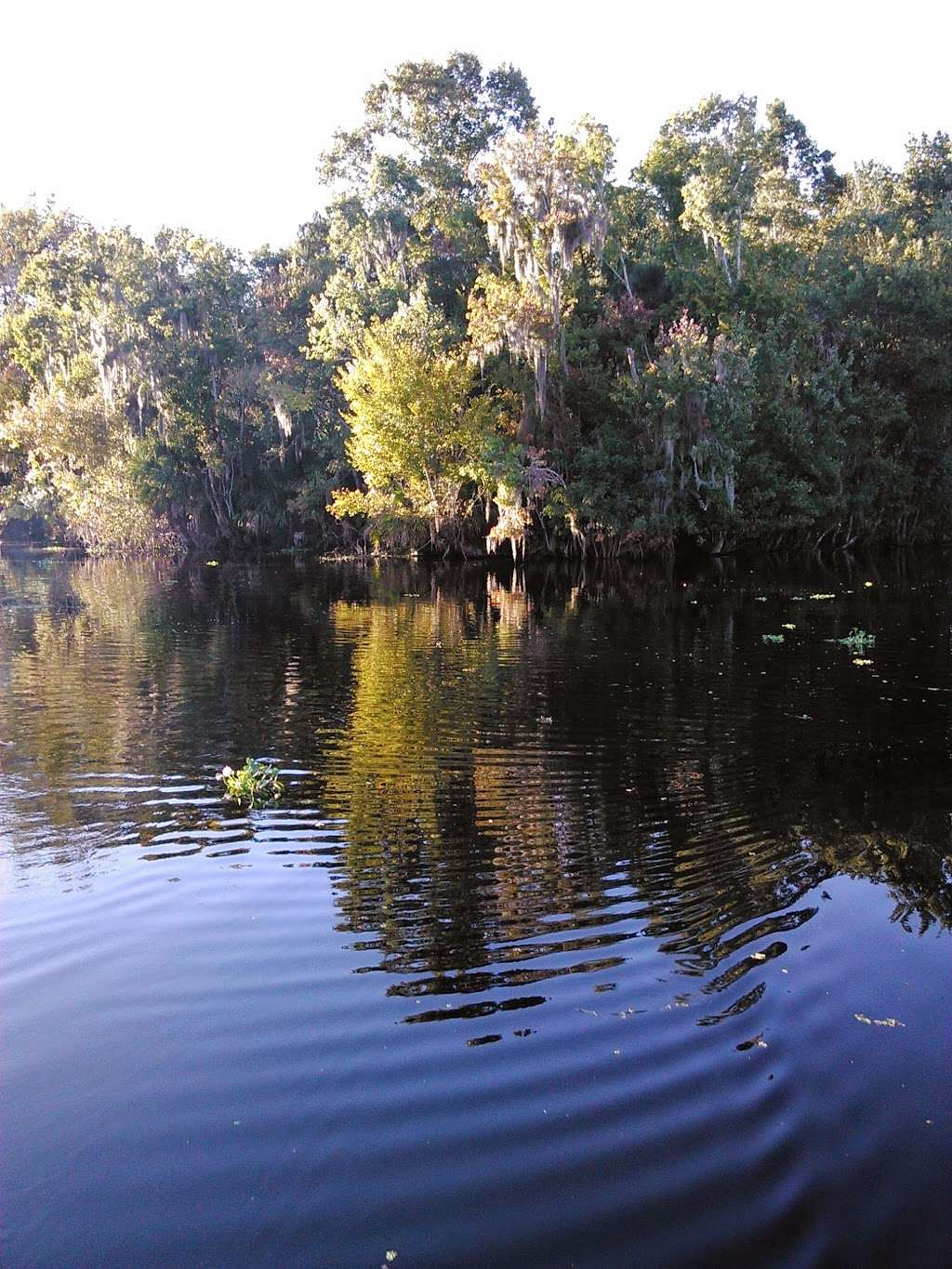 Lake George State Forest | 5458 U.S. 17, De Leon Springs, FL 32130, USA | Phone: (386) 985-7815