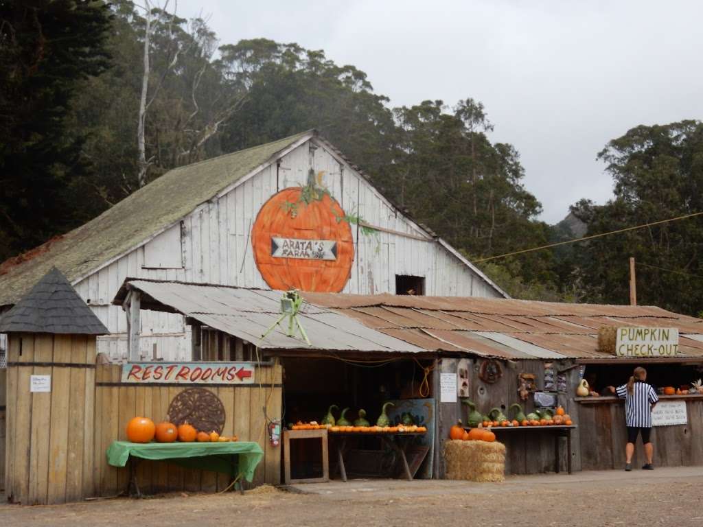 Aratas Pumpkin Farm | 185 Verde Rd, Half Moon Bay, CA 94019, USA | Phone: (650) 726-7548