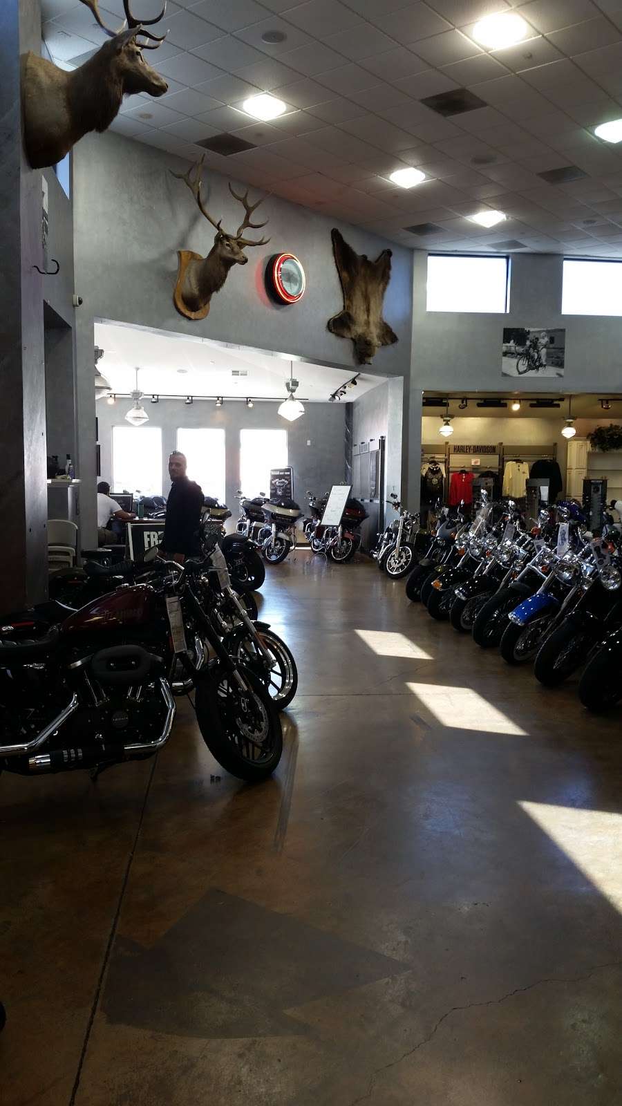 Iron Steed Harley-Davidson | 100 Auto Center Dr, Vacaville, CA 95687, USA | Phone: (707) 455-7000