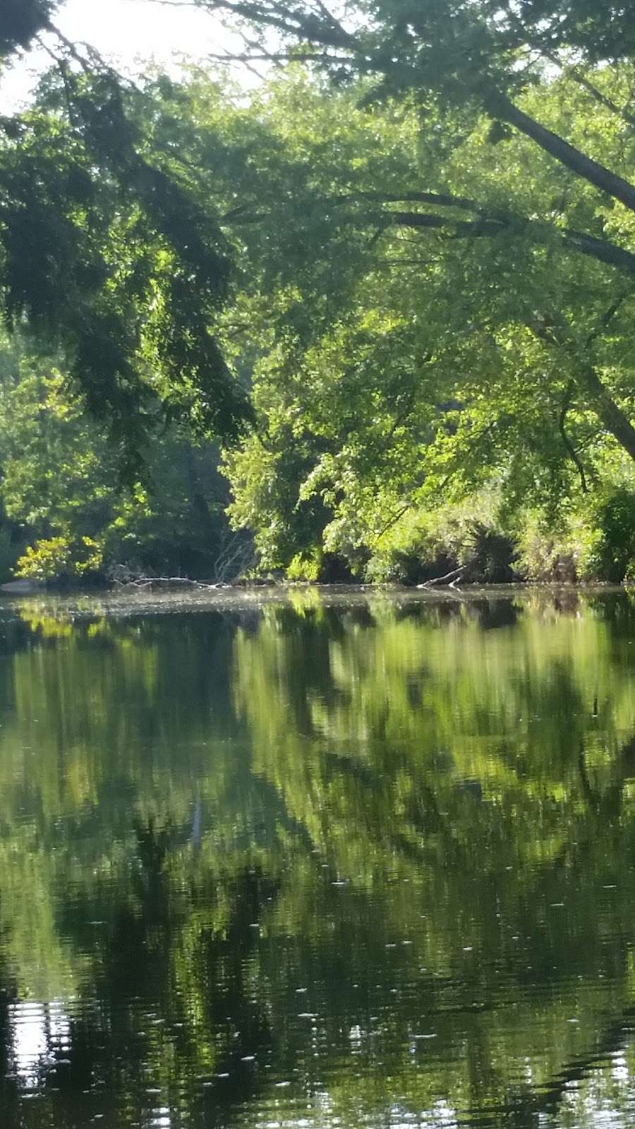 Trevlac Bluffs Nature Preserve | IN-45, Nashville, IN 47448, USA | Phone: (812) 336-5382